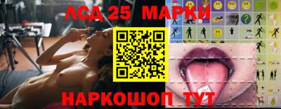 гашик Кулебаки