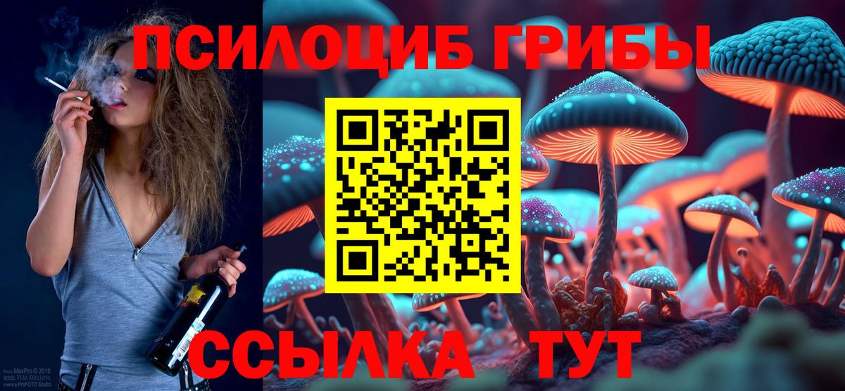 Ивантеевка  Галлюциногенные грибы ЛСД  дарнет шоп  Вход с VPN  Галлюциногенные грибы Psilocybe 